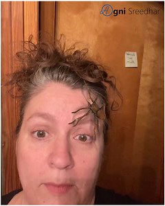 3.2K views · 13 reactions | Spider Filter Prank! | Agni Sreedhar | Facebook