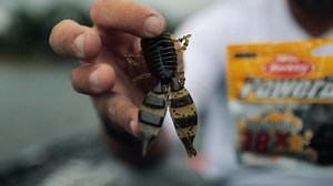 19 reactions | PowerBait Jester is designed by Mike Iaconelli and moves extremely lifelike in the water! | Berkley Fishing | Facebook