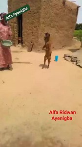 16K views · 36 reactions | SubhanaAllah Oba Alara fimi Dara Ire | Raheem Ridwan Ayenigba | Facebook