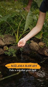 Join Hawaiʻi’s reforestation efforts and help restore the islands'...