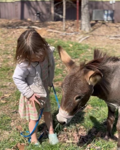 227K views · 10K reactions | Happy Spring from the Millers  | Plant Based Gabriel | Facebook