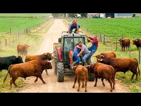 40 самых жестоких нападений животных, снятых на камеру | Нападения диких животных #7