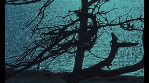 18 reactions | "Hang on to the very end and you may find yourself moved as you have never been moved before" | PULSE | Facebook