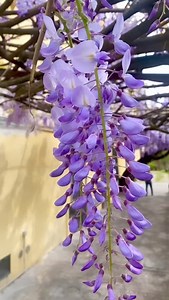 18 reactions | Marco Carta on Reels | Facebook