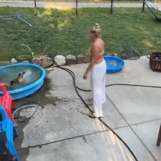 Duck loves to play ready, set, weee.. 😂 #duck #weee #funny #animalvideos | Animals Videos