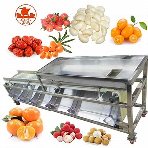 [Hot Item] Fruit Vegetable Mandarin Orange Tangerine Tomato Sorting Grading Sizer Machine