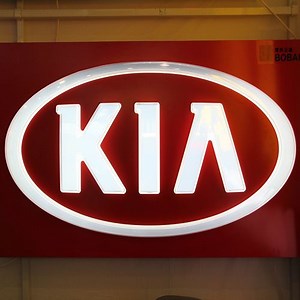 [Hot Item] High Quality Custom Car Logo Sticker Emblem