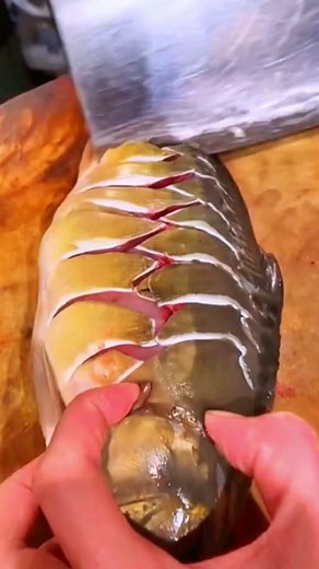 How to Fillet a Fish: Step-by-Step Guide
