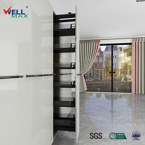 [Hot Item] Wellmax Wholesale Multifunction Soft Closing Kitchen Cabinet Accessories Pantry Unit Pull out Basket