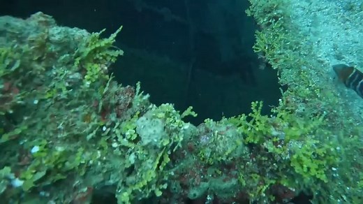 Congratulations to Garrett Latchaw, Patricia Jackson, Austin Owings, Jesse Laura Owings, Taylor and Jonathan Reynon on completing your PADI Wreck Diver with MDA Instructors Michelle Gay and Zebulon Gay Two Tanked Divers. #mdaguam #guamsbestdiveshop #divewiththebest #whereamericasdivingbegins | Micronesian Divers Association | Facebook