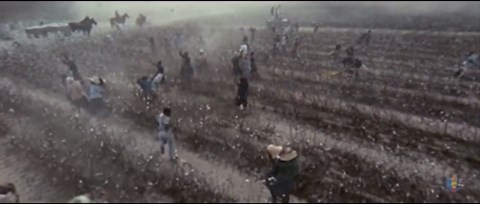 Goodbye, Uncle Tom ( 1971)