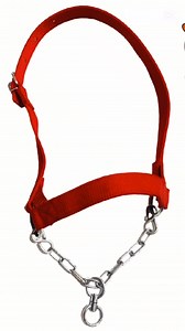 We are dealing with all kind of Cattle halter (*fancy mohra,sample mohra, decoration item,jahva, cattle payyal etc*) contact 03463165118 | Karachi Sohrab Goth Cow Mandi-Bakra Eid In Pakistan | Facebook