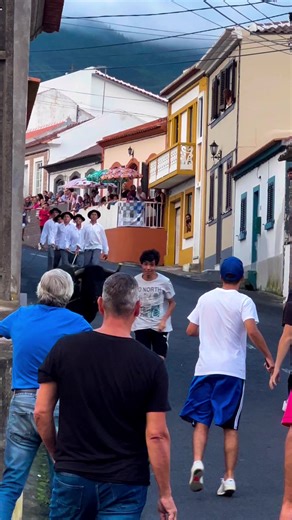 #festas #music #runningofthebulls #portugal #azoresislands #azores #portugual #raw_portugal #photographer #photo #videography #photograpy #photoofday #videographer #photographylover #videoproduction #filmmaker #photographerlife #photograph #photographylovers #pictures #photogrid #photographers #photography #photooftheday #instaphoto #photos #love #pictureoftheday #naturephotography | Savingmemoryarchives