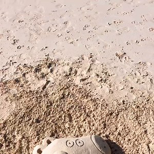 4.3K views · 96 reactions | the way my kids would freak out if they saw this Peppa Pig sand sculpture on the beach  by @bermudasandcastle on Instagram | Nick Jr. | Facebook