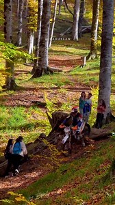 🌎Discover the stunning beauty and diverse landscapes of Azerbaijan – your next adventure awaits! 🍁 #experienceazerbaijan #takeanother #azerbaijantravel #travelazerbaijan #Azerbaijan #AzerbaijanAdventures #NaturalBeauty | Experience Azerbaijan