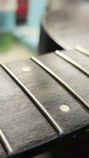 bridge doctor on a Taylor