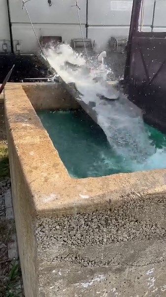 2.6K views · 29 reactions | Catfish Haven Pay Lake Bar and Grill on Reels | Facebook