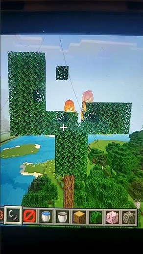 Four Tree In Fire Timelapse