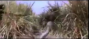 Woman | Slave vinatge movie