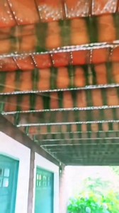 Pressure washing three decks without bleach #pressurewashing | Pete Griffin