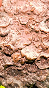 35K views · 958 reactions | Here’s an outstanding example of a...