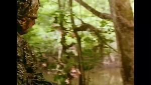 55 reactions · 26 shares | NOW STREAMING on Night Flight Plus: THE...