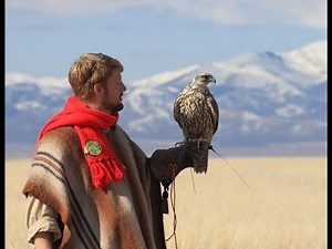 Falconry flight styles