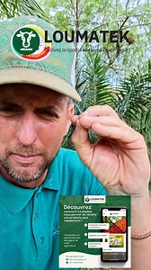 1K views · 2.9K reactions | Une application 100% made in Sénégal 100% gratuite et 100% Agricole Oui Oui @loumatek a votre service pour exposé et vendre vos produits Agro. Légumes, Fruits, volaille, Viande, produits transformer, intrants agricole. En bref tout ce qui concerne l'agriculture avec un grand A . #senegal #diaspora #entrepreneur #agrobusiness | Steven Moussa Baykat Xosslouman | Facebook