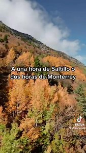 1.4K views | Turismo Salinas on Reels | Facebook