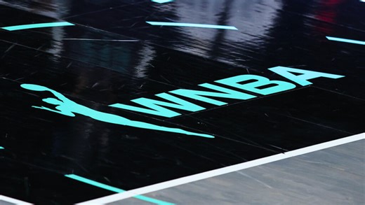 At Least One WNBA Sex Toy Thrower Has Been Arrested