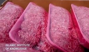 May 9, 2020 Dearborn, Michigan, Schaefer mosque distributes food to community: | DEARBORN AREA COMMUNITY MEMBERS