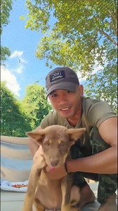 71K views · 11K reactions | วีรบุรุษ​ภู​มะเขือ﫡...