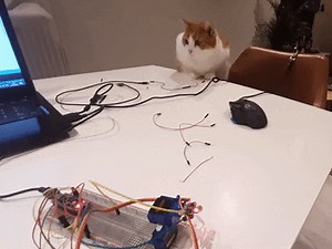 Arduino Cat laser toy DIY