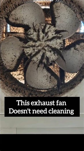 Dirty fan