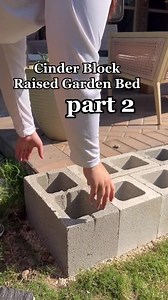 2.3M views · 17K reactions | Cinder block raised garden beds 勞 #gardenbed #gardeninspiration #gardentips | Neighborhood Farms USA | Facebook
