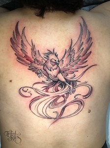 This Phoenix back tattoo done by Mikal is on fire!! ❤️‍ @denyxyourself #tribalrites #tribalritesfortcollins #tribalritestattoo #tribalritestattooandpiercing #backtattoo #blackandgraytattoos #blackandgreytattoo #backtattoos #phoenixtattoo #phoenixtattoos | Tribal Rites Tattoo & Body Piercing | Facebook