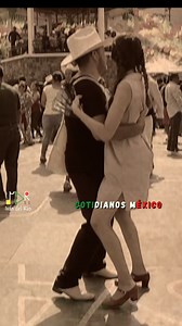 31K views · 506 reactions | Un fragmento del nuevo videoclip de real del sabino + Iván del Río el violín alegre . . . . . . . . . . . #huapango #sonhuasteco #xilitla #huapango | Cotidianos México | Facebook