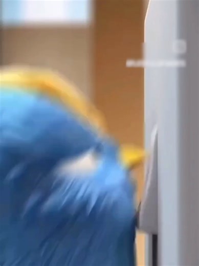 MOMBASA COMPUTERS on TikTok