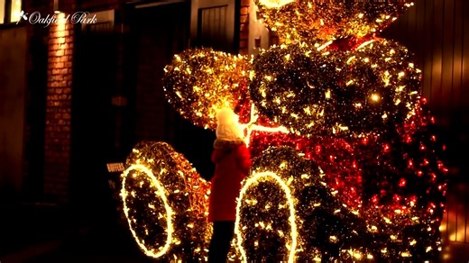 1.1K views · 12 reactions | LAST CALL FOR SANTA'S HOTEL Don't miss out on this unforgettable Christmas Family Experience this Winter with Jackson's & Oakfield Park. Book Now - https://bit.ly/3rik0Vg | Jackson's Hotel | Facebook