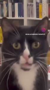 27K views · 1.7K reactions | Marcel se met à la chanson pour faire la...