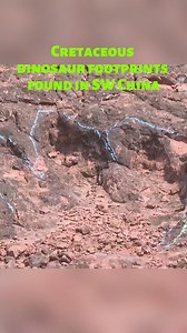 Over 400 dinosaur footprint fossils from the early Cretaceous period have been discovered in southwest China's Yunnan. #dinosaur #fossil #Cretaceous #China | China Xinhua News