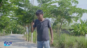 207K views · 409 reactions | Cưới vợ liền tay! Có VPBank lo ngay!...