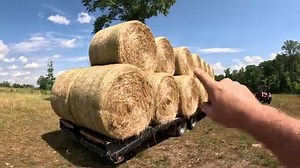 This One Hurt! Slapped with the harsh reality of small farm USA | Stoney Ridge Farmer