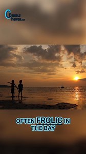 Discover the beauty and history of Kealakekua Bay, where Captain...