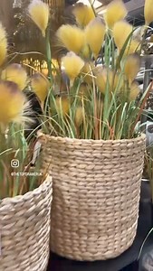 4.7K views · 33 reactions | The Top Drawer on Reels | Facebook