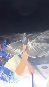 These are cheat codes! #Fishing #Cheatcode #Bigfish | Coastal WorldWide