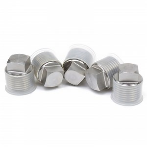 [Hot Item] Stainless Steel Outer Square Head Pipe Fitting Plug Solid Plug