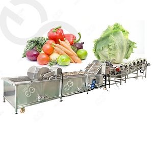 [Hot Item] Factory Automatic Mushroom Carrot Pineapple Washer Fruit Vegetable Washer Industrial Fruit Vegetable Washing Machine