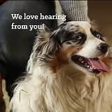 90 shares | If you love Nutrena, we’d love to hear from you. Leave a review and you could win a $500 prepaid gift card! | Nutrena Feed | Facebook