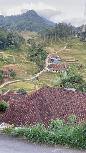 Kampung Gunung Masigit musim panen padi. | Husni Cahya Gumilar
